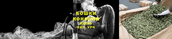 прущие грибы Алзамай