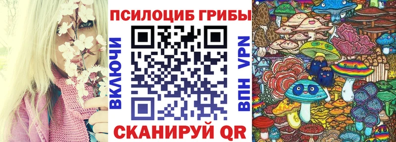 Псилоцибиновые грибы прущие грибы  Купить  Спас-Клепики 